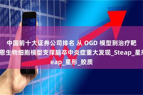 中国前十大证券公司排名 从 OGD 模型到治疗靶点：尚恩生物细胞模型支撑脑卒中炎症重大发现_Steap_星形_胶质