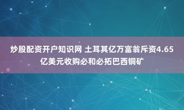 炒股配资开户知识网 土耳其亿万富翁斥资4.65亿美元收购必和必拓巴西铜矿