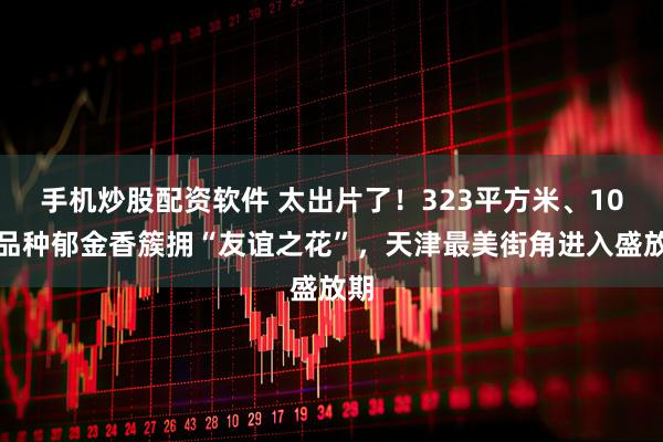 手机炒股配资软件 太出片了！323平方米、10个品种郁金香簇拥“友谊之花”，天津最美街角进入盛放期